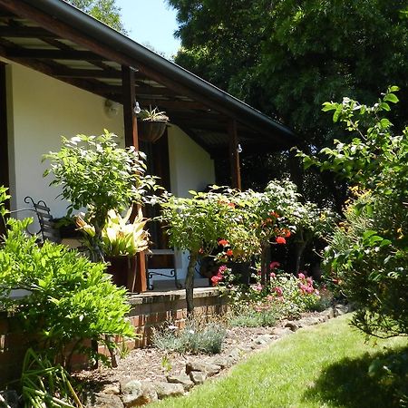 Wagners Cottages Swansea Dış mekan fotoğraf