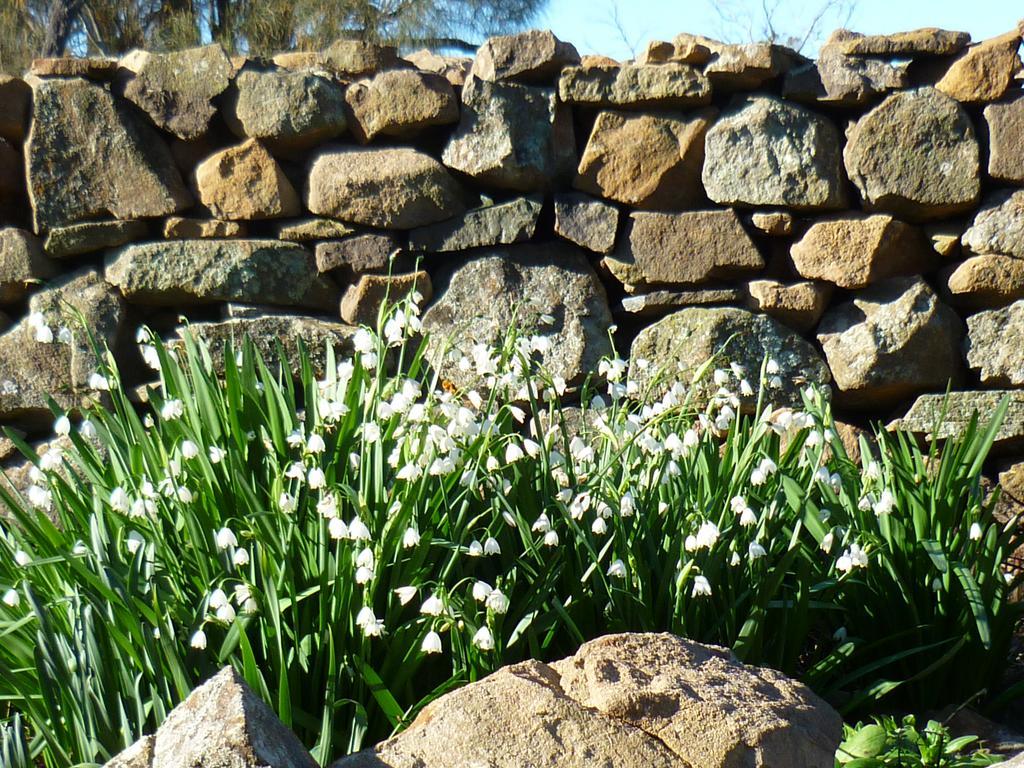 Wagners Cottages Swansea Dış mekan fotoğraf