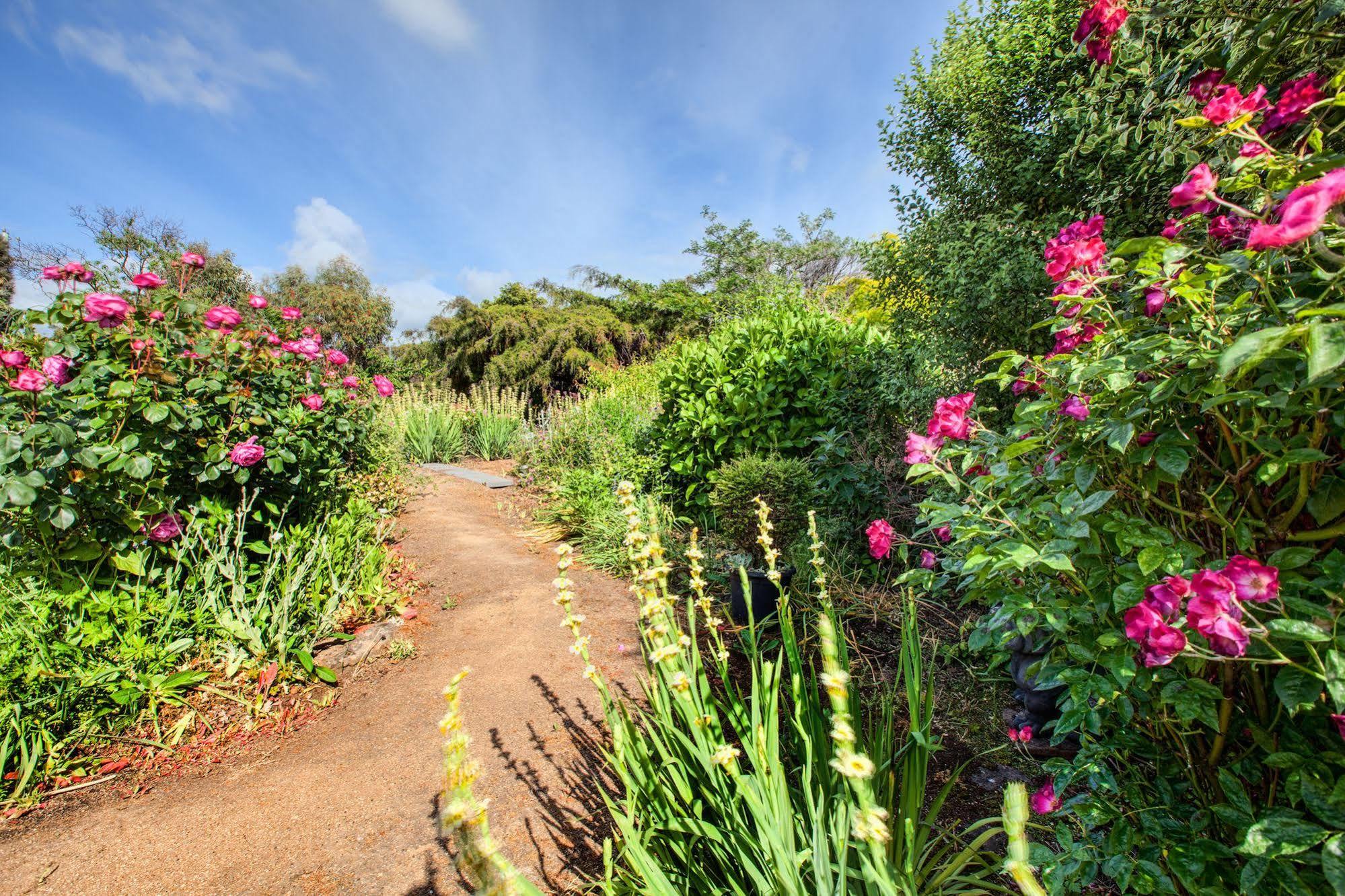 Wagners Cottages Swansea Dış mekan fotoğraf